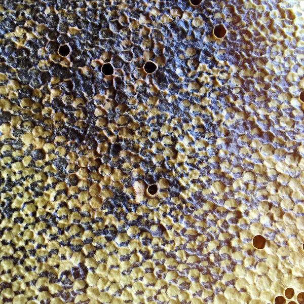 Abstract Hexagon Structure Honeycomb Bee Hive Filled Golden Honey Honeycomb — Stock Photo, Image