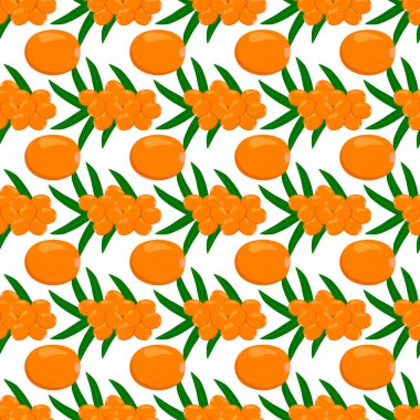 Temalı, büyük, renksiz, dikensiz deniz dikenli, parlak dut desenli fok. Böğürtlen deseni, güzel, kusursuz tekrar eden deniz dikeninden oluşuyor. Dikensiz deniz dikeninin basit renkli desenli meyvesi..