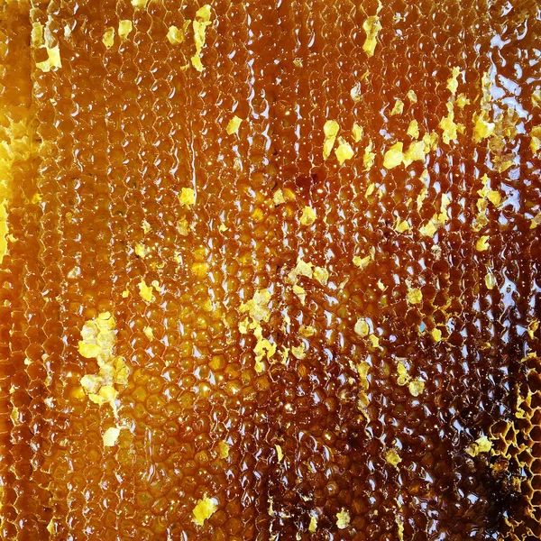 Tropfen Bienenhonig Tropfen Von Sechseckigen Waben Die Mit Goldenem Nektar — Stockfoto