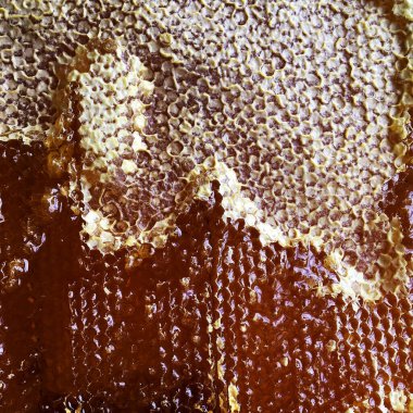 Altın nektarla doldurulmuş altıgen bal peteklerinden bir damla bal damlıyor. Bal peteği yaz kompozisyonu. Doğal bal damlası, balmumu çerçeveli arı damlası. Bal damlası bal damlatıyor bal peteğine.