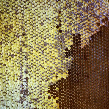 Soyut altıgen yapısı altın bal dolu arı kovanından bal peteği. Bal peteği yaz kompozisyonu arı köyünden yapışkan bal içerir. Arıların kırsal bal petekleri taşraya.