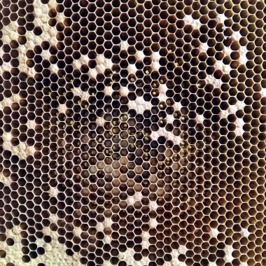 Soyut altıgen yapısı altın bal dolu arı kovanından bal peteği. Bal peteği yaz kompozisyonu arı köyünden yapışkan bal içerir. Arıların kırsal bal petekleri taşraya.