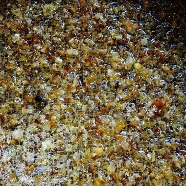 Altın nektarla doldurulmuş altıgen bal peteklerinden bir damla bal damlıyor. Bal peteği yaz kompozisyonu. Doğal bal damlası, balmumu çerçeveli arı damlası. Bal damlası bal damlatıyor bal peteğine.