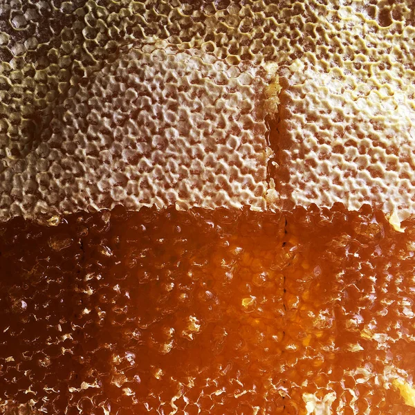 Drop of bee honey drip from hexagonal honeycombs filled with golden nectar. Honeycombs summer composition consisting of drop natural honey, drip on wax frame bee. Drop of bee honey drip in honeycombs.