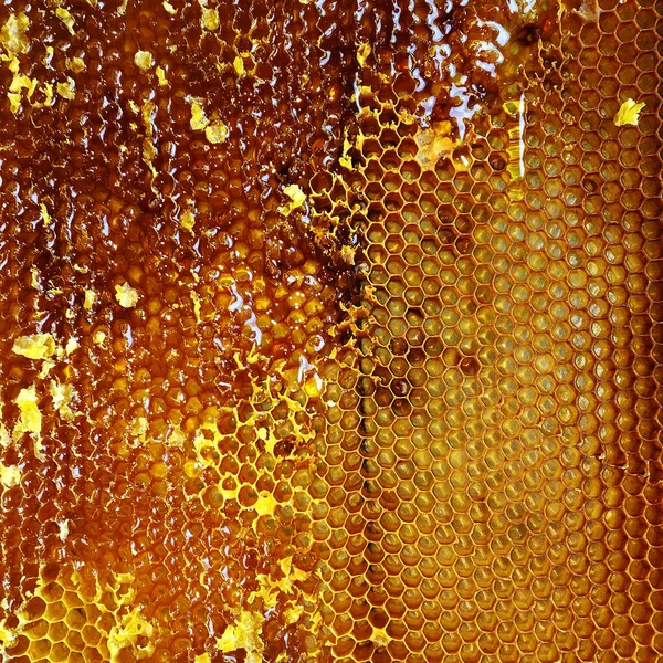 Tropfen Bienenhonig Tropfen Von Sechseckigen Waben Die Mit Goldenem Nektar — Stockfoto