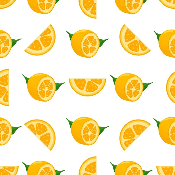 Illustration Theme Big Colored Seamless Kumquat Bright Fruit Pattern Seal — Stock Vector