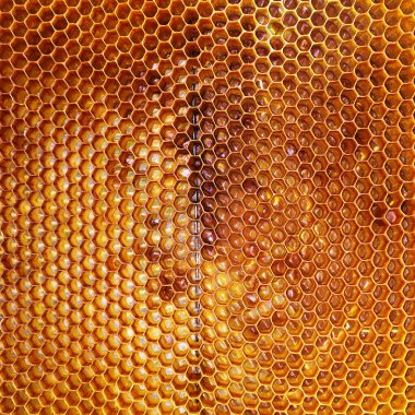 Soyut altıgen yapısı altın bal dolu arı kovanından bal peteği. Bal peteği yaz kompozisyonu arı köyünden yapışkan bal içerir. Arıların kırsal bal petekleri taşraya.