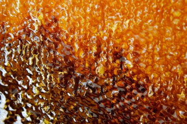 Altın nektarla doldurulmuş altıgen bal peteklerinden bir damla bal damlıyor. Bal peteği yaz kompozisyonu. Doğal bal damlası, balmumu çerçeveli arı damlası. Bal damlası bal damlatıyor bal peteğine.