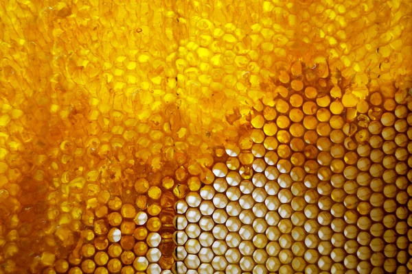 Drop Bee Honey Drip Hexagonal Honeycombs Filled Golden Nectar Honeycombs — Stock Photo, Image