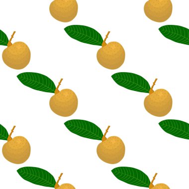 Tema üzerine resim büyük renkli, dikişsiz Longan, fok balığı için parlak meyve deseni. Güzel, pürüzsüz tekrar eden Longan 'dan oluşan meyve deseni. Kusursuz Longan 'dan basit renkli desenli meyve.