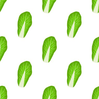 Resim desenli Çin lahanası, fok için sebze salatası. Güzel Çin lahanası ve bir sürü salatadan oluşan sebze deseni. Salata Çin lahanasından basit renkli sebze deseni..