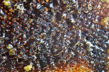 Altın nektarla doldurulmuş altıgen bal peteklerinden bir damla bal damlıyor. Bal peteği yaz kompozisyonu. Doğal bal damlası, balmumu çerçeveli arı damlası. Bal damlası bal damlatıyor bal peteğine.