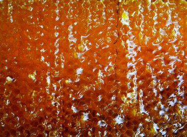 Altın nektarla doldurulmuş altıgen bal peteklerinden bir damla bal damlıyor. Bal peteği yaz kompozisyonu. Doğal bal damlası, balmumu çerçeveli arı damlası. Bal damlası bal damlatıyor bal peteğine.