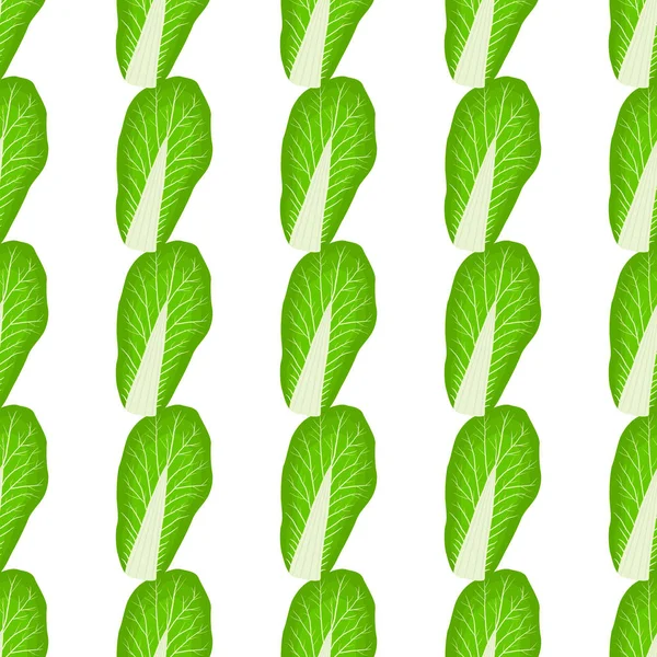 Illustratiepatroon Chinese Kool Groentesalade Voor Zeehond Plantaardig Patroon Bestaande Uit — Stockvector