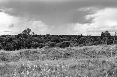 Renkli doğal arka plan üzerine köy çayırında güzel bir ufuk manzarası, uzun çayırdaki çayır köyünde ufuk manzarası, hayvan için köy otlağındaki ufuk doğa manzarası.