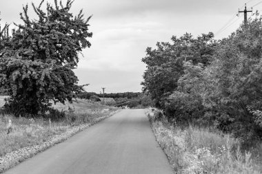 Renkli arka planda güzel boş asfalt yol, kırsal alandan geçen yeni boş asfalt yol, yeşillik kırsalında hız arabası için boş asfalt yol.