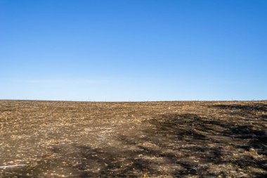 Organik hasat için büyük boş tarla fotoğrafları, gökyüzü arka planında hasat için büyük boş tarım tarlalarından oluşan fotoğraf, bu sonbahar mevsiminde hasat için boş tarla.