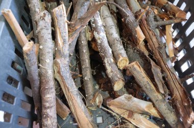 Siyah plastik bir sepetin içine yerleştirilmiş büyük bir kütük yığını var. Doğal materyalleri ve dalları düzenli bir şekilde sergiliyorlar.