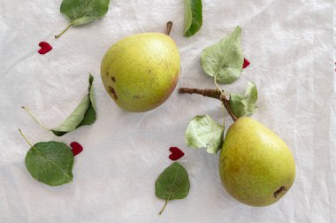 Narin yapraklarla süslenmiş iki olgun armut ve el değmemiş beyaz bir kumaşın üzerinde zarif bir şekilde dinlenen büyüleyici kalpler. Hayat sanatı için mükemmel.