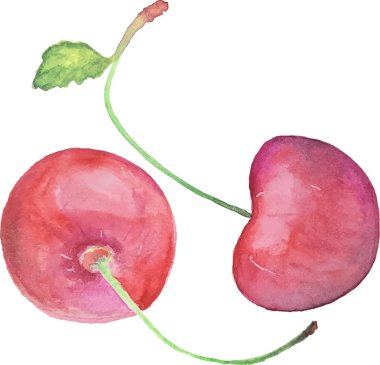 sulu boya canlı çizimler vektör