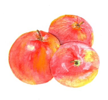 suluboya ile boyalı elma