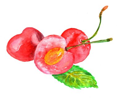 taze kiraz suluboya ile boyalı