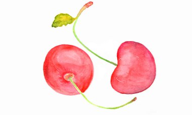 taze kiraz suluboya ile boyalı