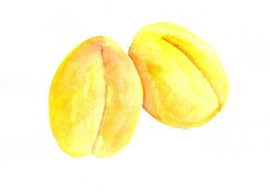 suluboya ile boyalı kayısı