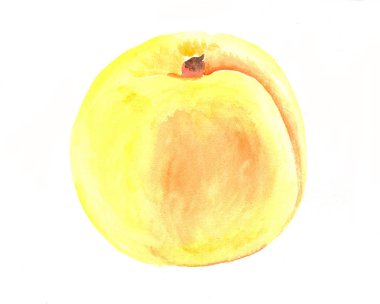 suluboya ile boyalı kayısı