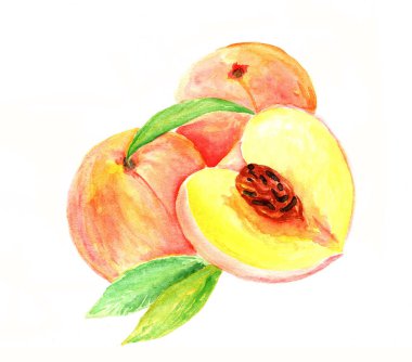 suluboya boyalı şeftali