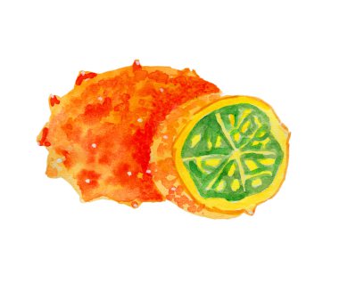 t-shirt ve reklam baskı için uygun suluboya boyalı taze meyve