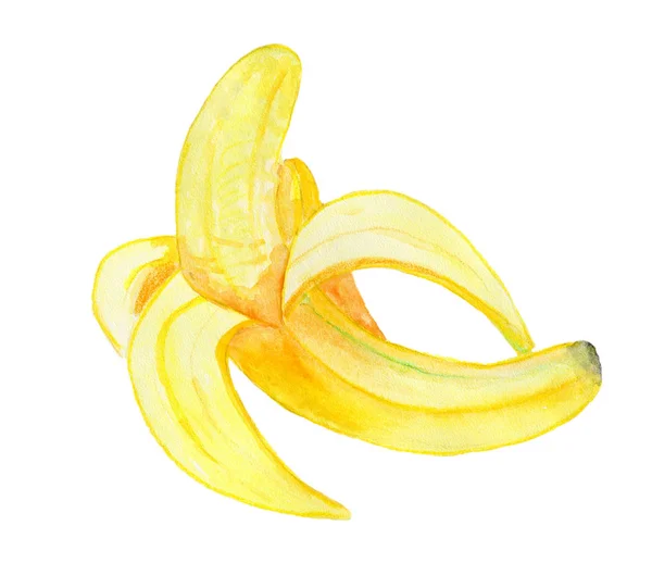 Świeże Owoce Malowane Akwareli Nadające Się Druku Koszulkach Reklamach — Zdjęcie stockowe