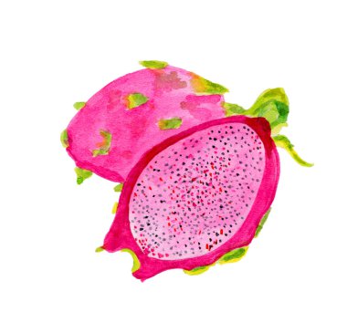 t-shirt ve reklam baskı için uygun suluboya boyalı taze meyve