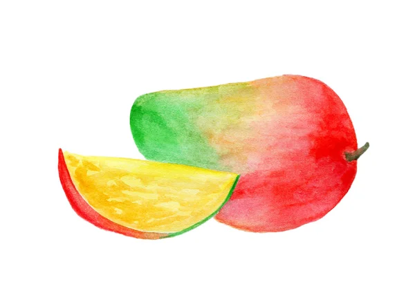 Aquarel Tekeningen Met Fruit Kunnen Worden Gebruikt Reclame — Stockfoto