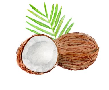 meyve ile suluboya çizimlerreklam kullanılabilir