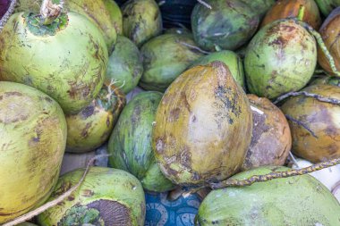 Bir grup taze hindistan cevizi. Tropikal beslenme, organik ürünler, Karayip kültürü, sürdürülebilir tarım ve sağlıklı yaşam tarzı temaları için mükemmel..