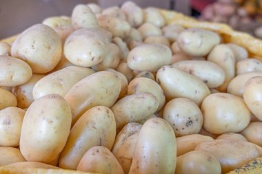 Taze beyaz patatesler, toprak dokulu ve doğal ışık. Tarım, organik gıda, ev yapımı yemek ve yerel ürünler için mükemmel bir tema..