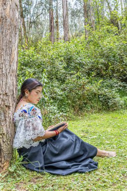 Otavalo, Ekvador: 6 Ağustos 2025: Geleneksel işlemeli giysiler içinde çıplak ayaklı yerli Otavalo kadını, doğal bir And ortamında bir ağaç gövdesine yaslanırken bir kitap okuyor, barış ve kültürel bağlantı kuruyor..
