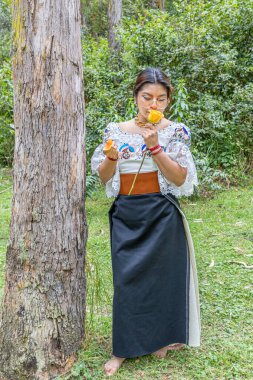 Otavalo, Ekvador: 6 Ağustos 2025: Geleneksel giyinmiş çıplak ayaklı yerli bir Otavalo kadını, doğal bir ortamda sarı bir gülün kokusunun tadını çıkararak kültürel bağlantı, barış ve ahengi aktarıyor..