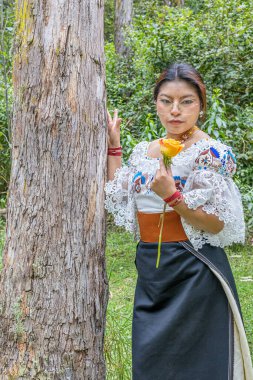 Otavalo, Ekvador: 6 Ağustos 2025: Geleneksel giyinmiş yerli bir Otavalo kadını, doğal bir ortamda sarı bir gül kokusunun tadını çıkarıyor, kültürel bağlantı, barış ve ahengi aktarıyor..