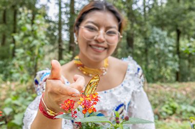 Otavalo, Ekvador - 6 Ağustos 2025: Geleneksel giyinmiş yerli kadın, Lantana Camara çiçeklerine tünemiş Patricia dercyllidas kelebeğini tasarlıyor, doğal bir şekilde..