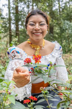 Otavalo, Ekvador - 6 Ağustos 2025: Geleneksel giyinmiş yerli kadın, Lantana Camara çiçeklerine tünemiş Patricia dercyllidas kelebeğini tasarlıyor, doğal bir şekilde..