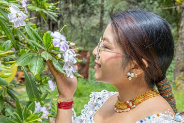 Otavalo, Ecuador - August 6, 2025: An indigenous Otavalo woman in traditional attire touches and smells a beautiful Impatiens sodenii flower, or poor man's rhododendron, in a natural setting.