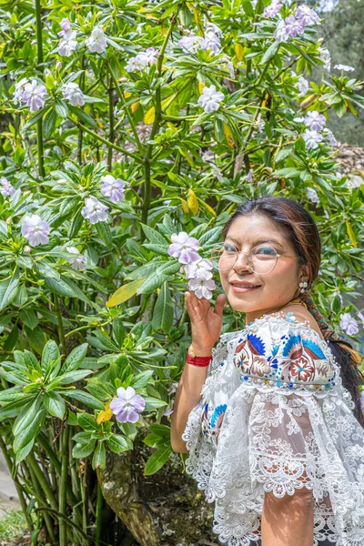Otavalo, Ecuador - August 6, 2025: An indigenous Otavalo woman in traditional attire touches and smells a beautiful Impatiens sodenii flower, or poor man's rhododendron, in a natural setting.