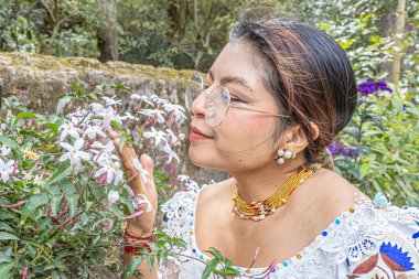 An indigenous Otavalo woman in traditional dress touches and enjoys the aroma of a beautiful Chinese jasmine flower, or Jasminum polyanthum, in a natural Andean setting.