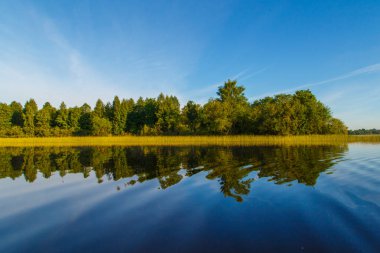 Sakin nehir, ağaçlar ve mavi gökyüzü arka plan manzara
