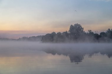 Nehir ve orman batımında sis ile peyzaj 