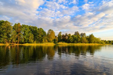 Sakin nehir ve doğal yansıma yeşil orman manzara