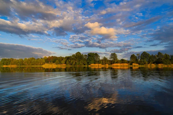 Panoramik manzaralı sakin nehir ve doğal yansıma yeşil orman
