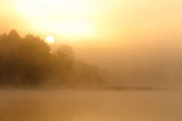 Anbud Glödande Orange Solnedgång Vid Riverside — Stockfoto